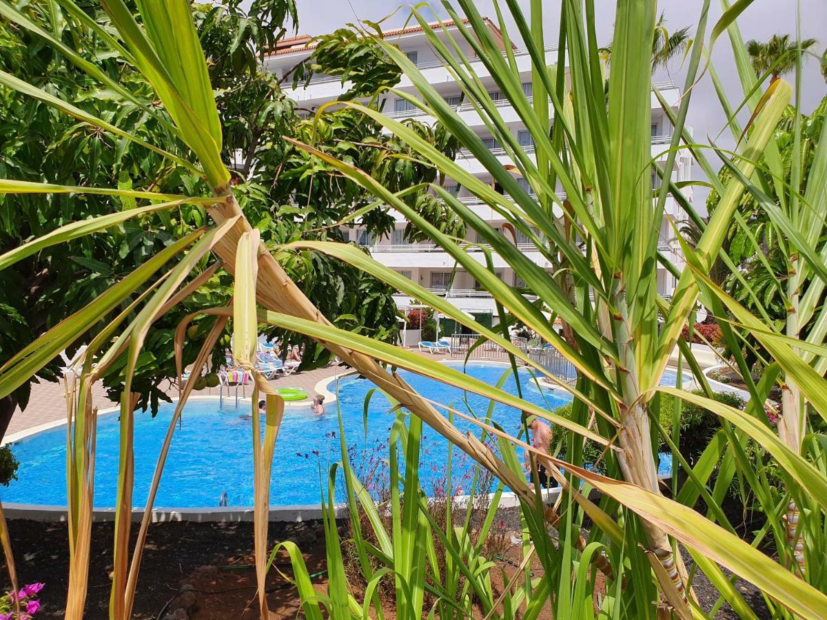 Spectacular Renovated Apartment, 5 Min To Camison Beach, With Aircon Arona  Bagian luar foto