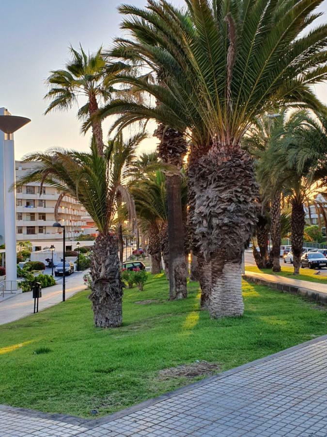 Spectacular Renovated Apartment, 5 Min To Camison Beach, With Aircon Arona  Bagian luar foto